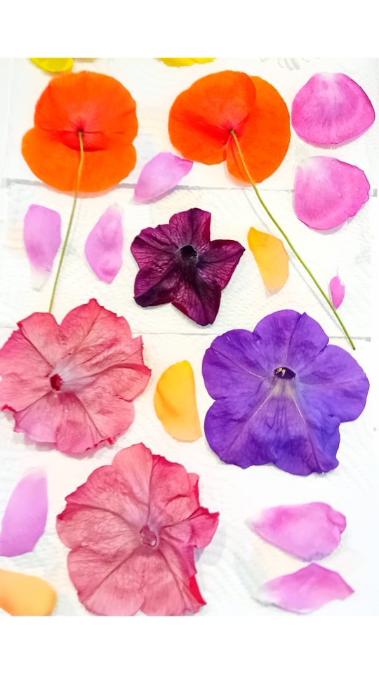 How to Press Flowers: For Beginners