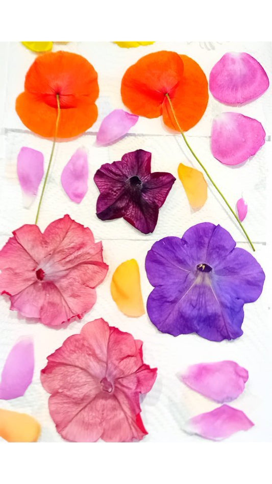 How to Press Flowers: For Beginners