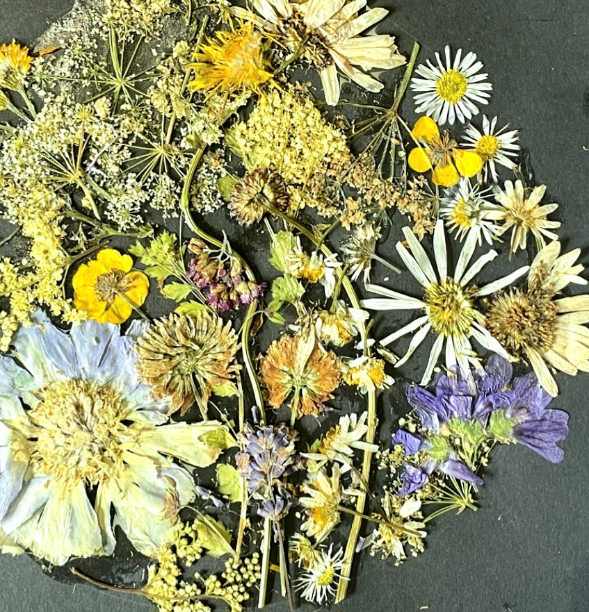 Pressed Flowers and Greenery Bundle