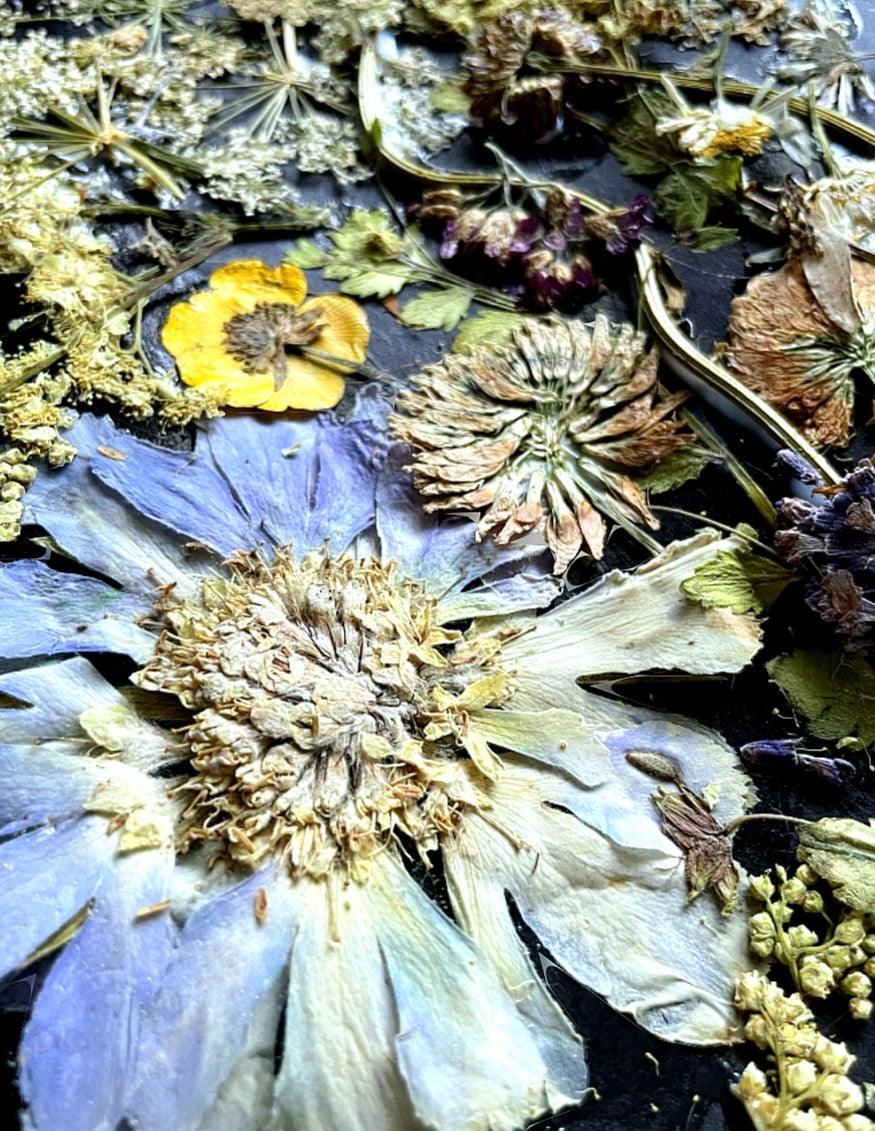 Pressed Flowers and Greenery Bundle