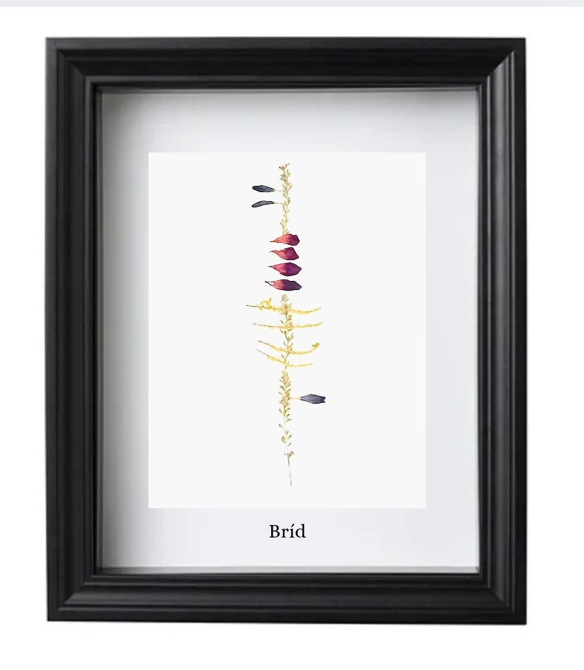 Personalised Ogham Inscription - Framed Pressed Flower Art