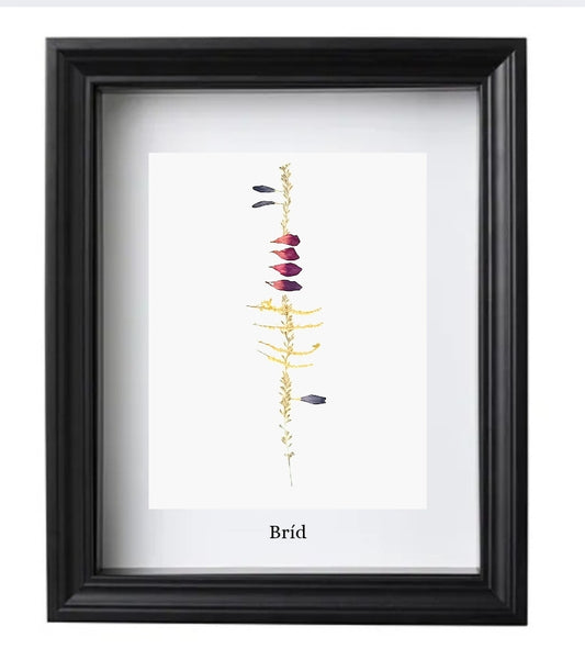 Personalised Ogham Inscription - Framed Pressed Flower Art