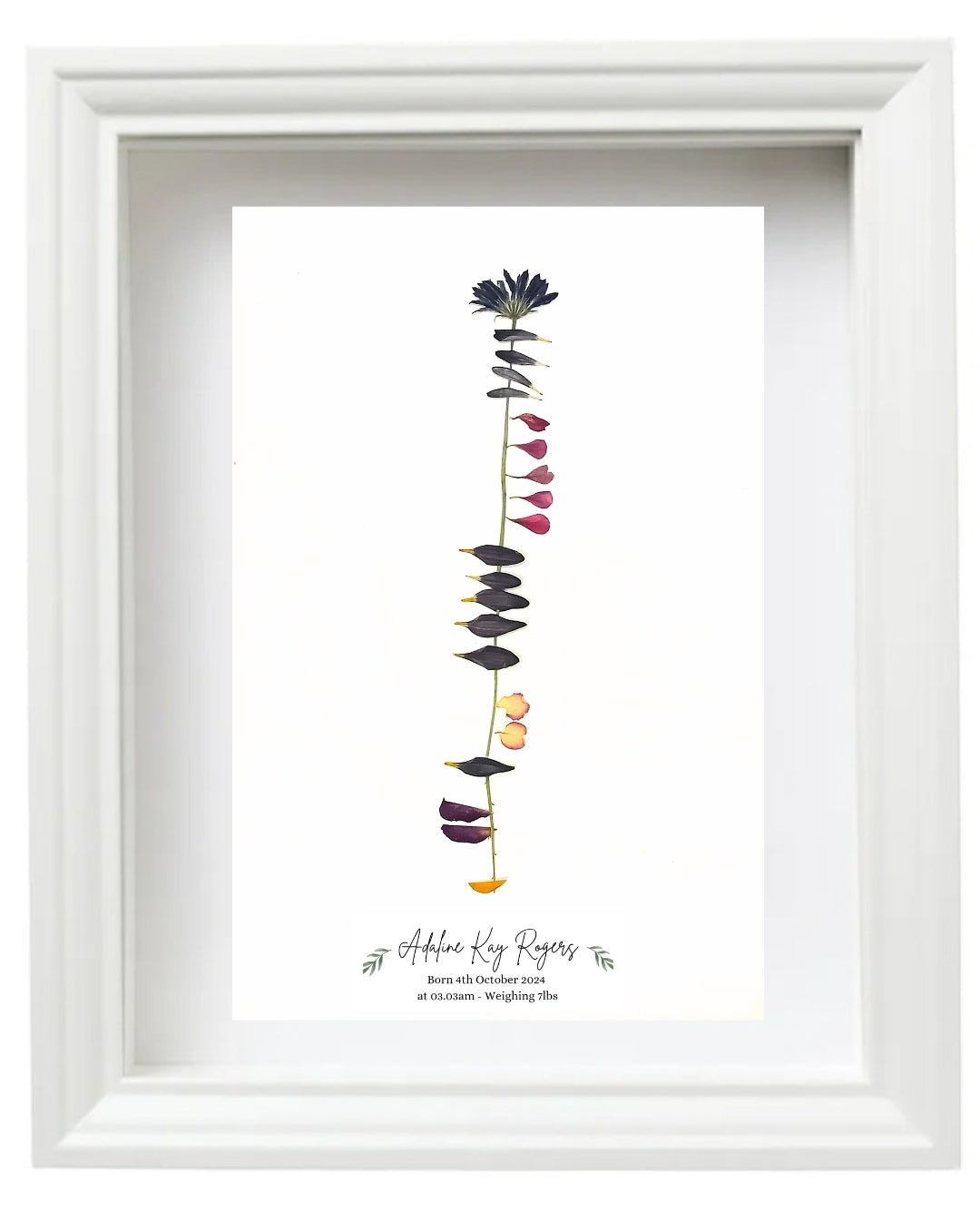 Personalised Ogham Inscription - Framed Pressed Flower Art