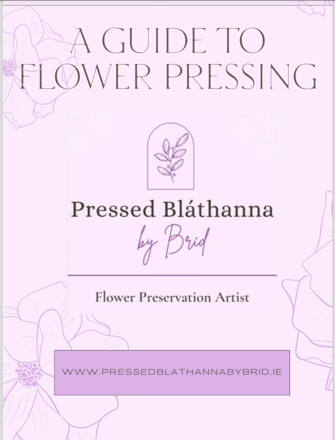 Pressed Blathanna by Brid - A Guide to Flower Pressing