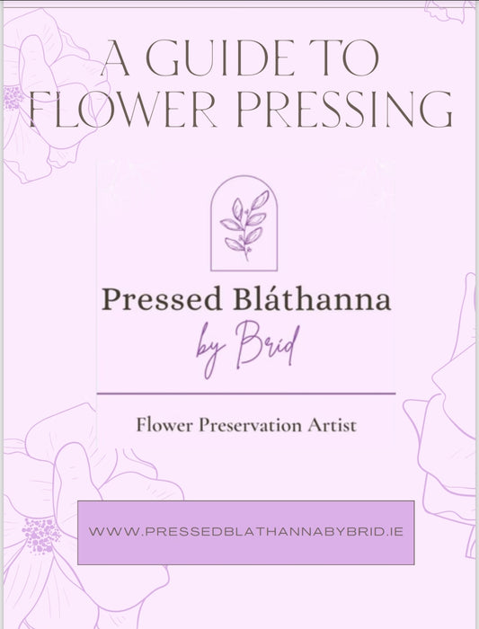 Pressed Blathanna by Brid - A Guide to Flower Pressing