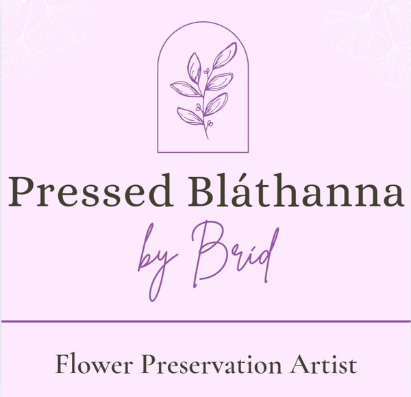 Pressed Bláthanna by Bríd