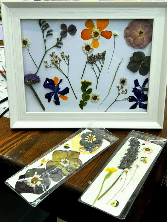 Pressed Blathanna by Brid  Pressed Flower Workshops in Kerry